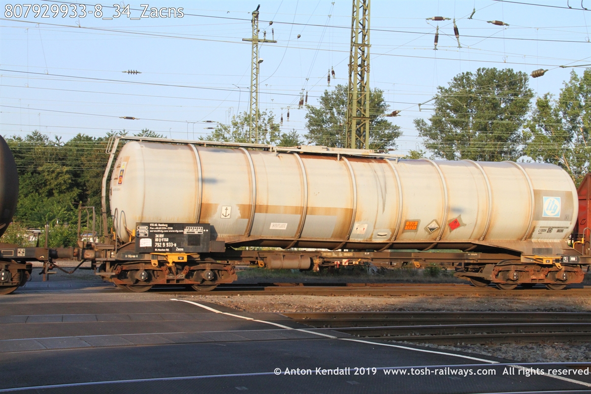 807929933-8_34_Zacns.JPG
